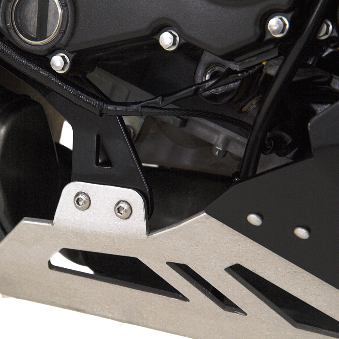 PROTECTOR MOTOR KAWASAKI VERSYS 650 15-UP